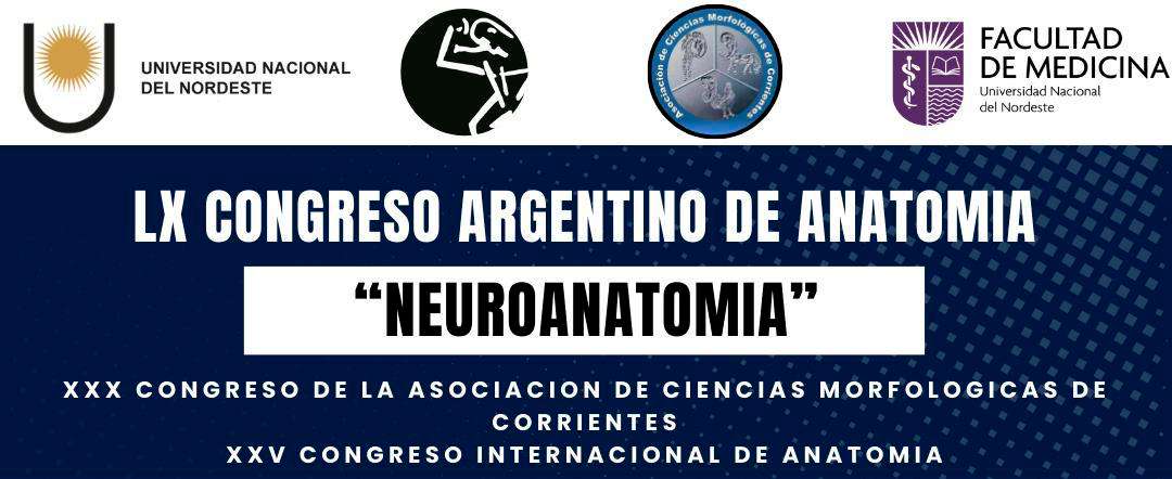 LX congreso argentino de Anatomia 2024 banner LVIII Congreso Argentino de Anatomía